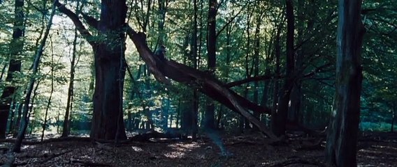 Lauf Junge lauf (2013)