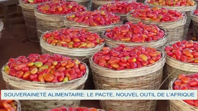 Le pacte de souveraineté alimentaire , un outil au service de l'Afrique pour un accès aux produits alimentaires de base