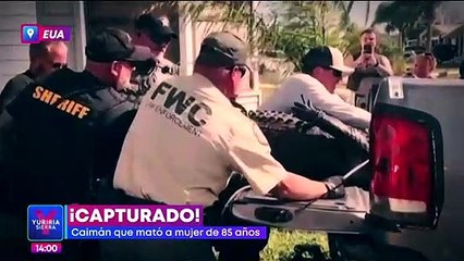 Capturan a caimán que mató a una mujer de 85 años en Estados Unidos