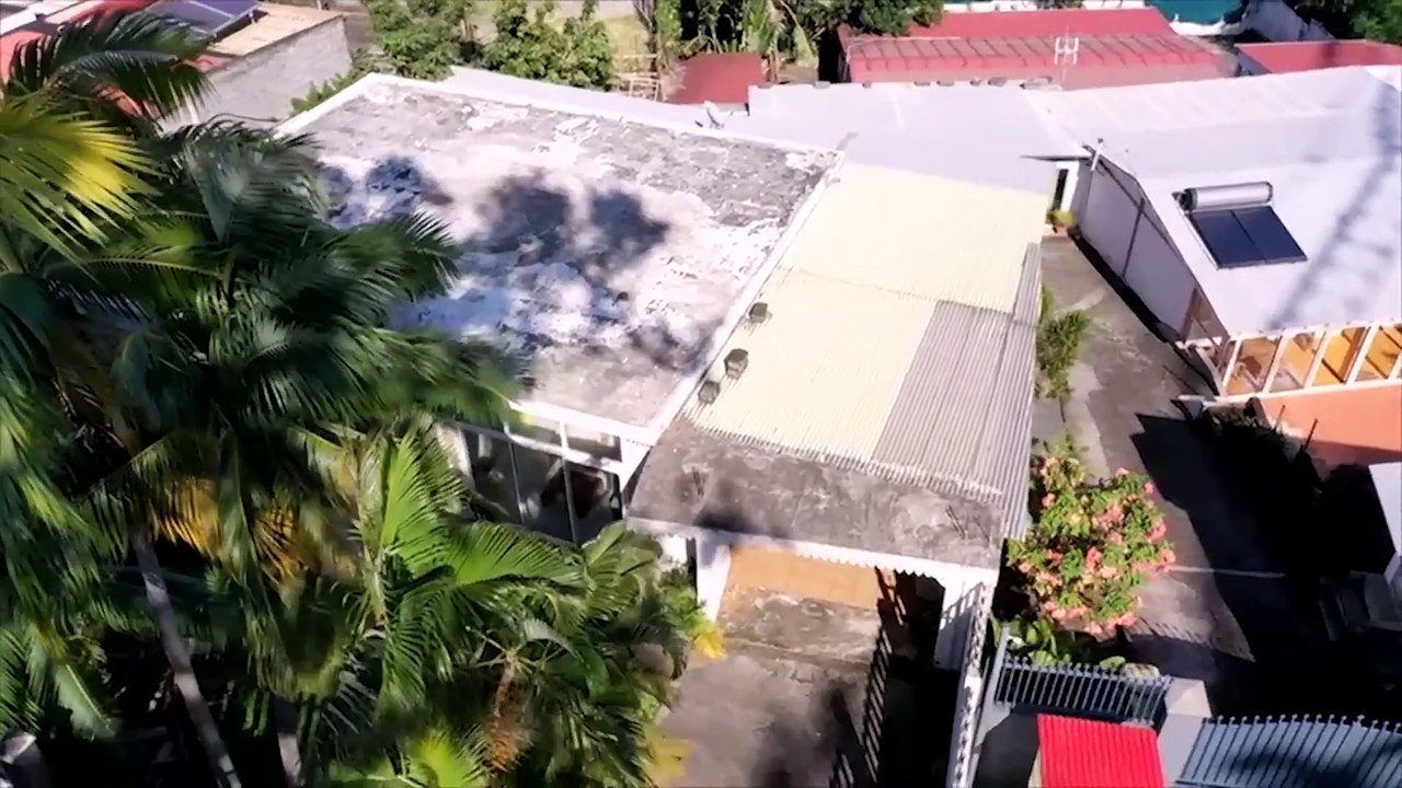 Magie noire et plantes morteIIes