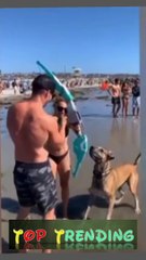 Top Trending Funny Animals clip-31