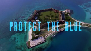 Protect the Blue, Chapter 2 - Remote Control: Key West