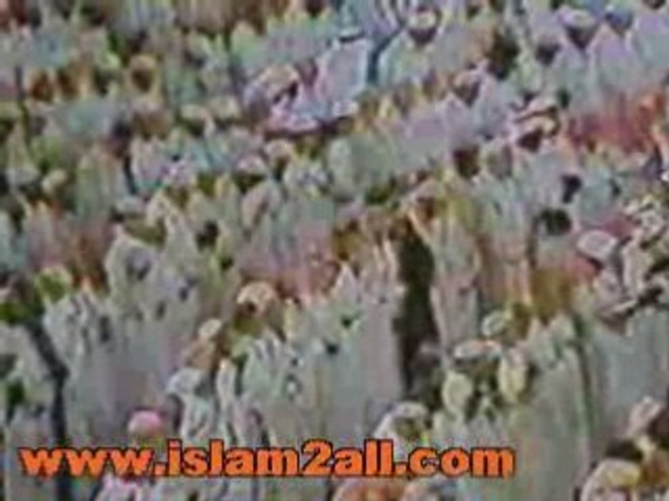 ali gaberتلاوات  للشيخ علي جابر