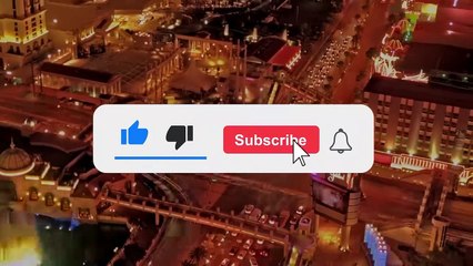 15 Times Humans Saved Animals In Need