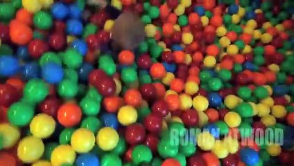 Crazy Plastic Ball PRANK!!