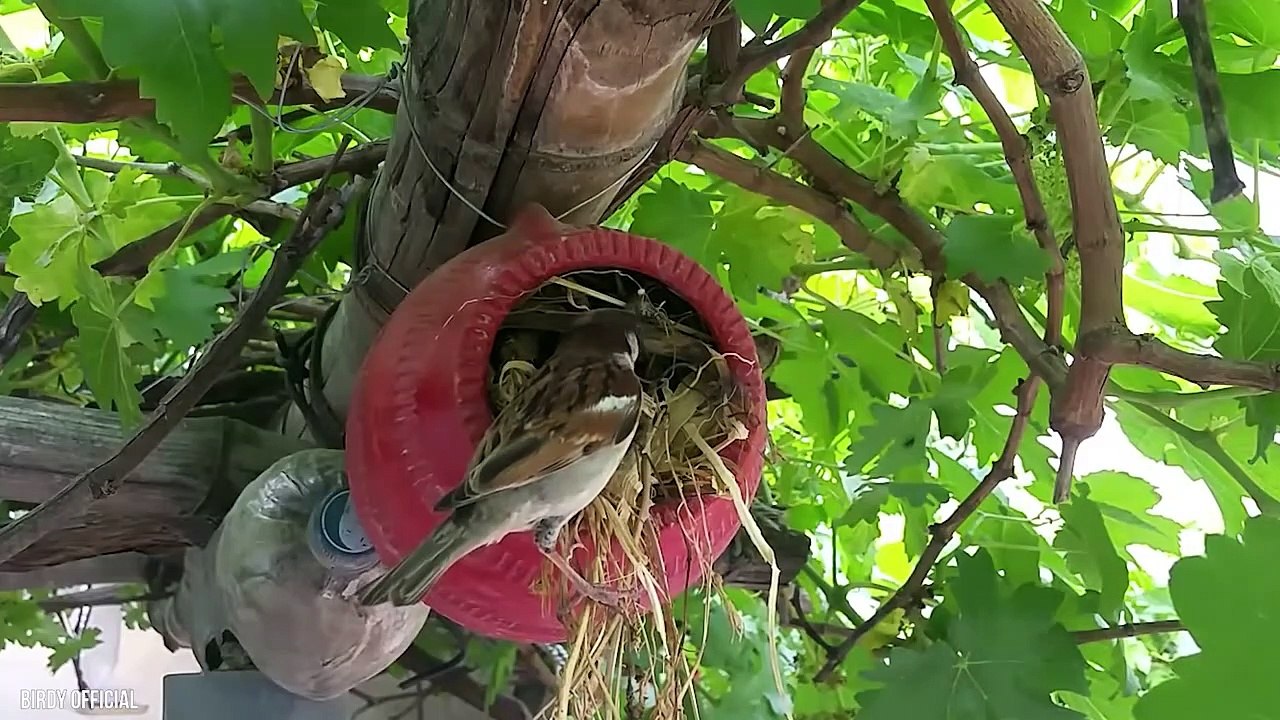 10 Worst Animal Parents In The World