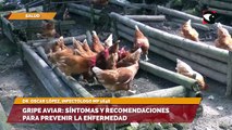 Oscar López, infectólogo MP 1646, brindó una serie de recomendaciones para evitar la gripe aviar y explicó en qué consiste la enfermedad