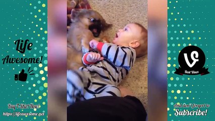 TRY NOT TO LAUGH - Funny Babies Compilation 2018   Funny Kids Fails Videos 2018