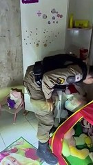 PM encontra barra de maconha em urso de pelúcia em MG