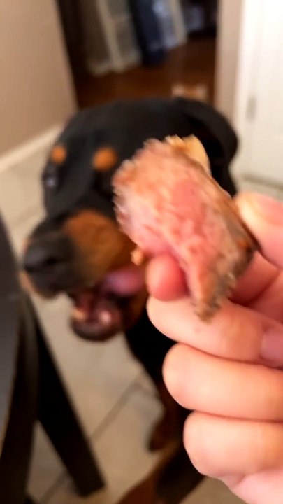Who Deserves Steak?