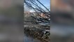 Tornado leaves behind path of destruction in New Jersey