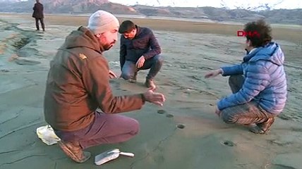 Depremden sonra oluşan ve fay kırığı sanılan şeklin sırrı ortaya çıktı