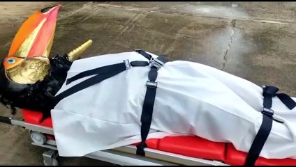 Vaval victime d'un malaise.