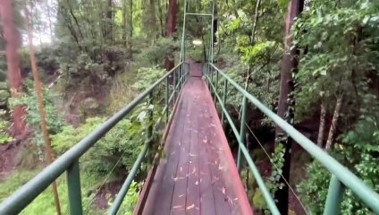 'Golden Ridge Winery Resort' at Yellow Rock | Real Estate View | February 2023