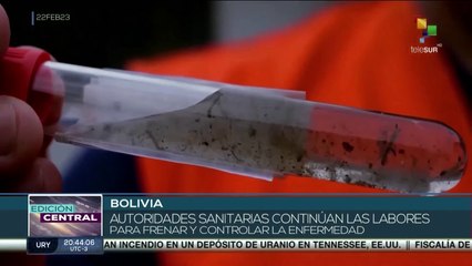 Bolivia: Autoridades alertan la proliferación de casos de dengue