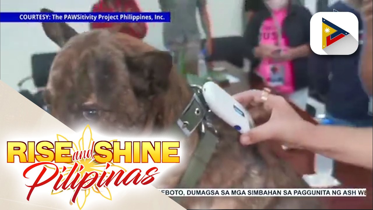 NGO sa Davao City, nanawagan sa mga residente na ipa-rehistro ang mga alagang aso at pusa; microchip implanting ilalagay ng Davao City Veterinarian Office