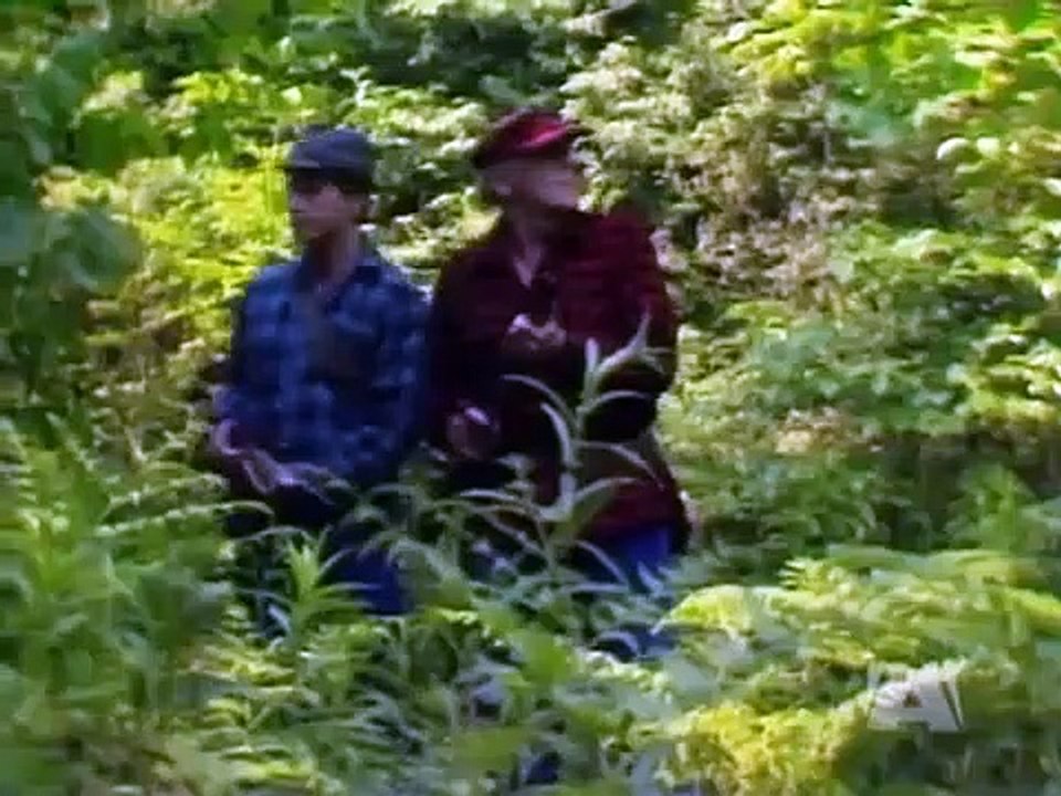 The Littlest Hobo - Se3 - Ep06 HD Watch