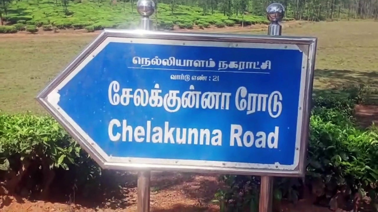 நீலகிரியில் எருமை மாட்டை கடித்து தின்ற செந்நாய்! பீதியில் மக்கள்! வனத்துறையினர் ஆய்வு!