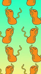 The Land of Boggs Shorts： Tiffany