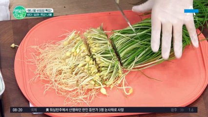[하이라이트] 신선하고 몸에 좋은 제철 나물로 '봄나물 비빔밥' 만드는 법