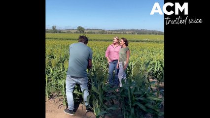 Liverpool plains visit - February 23, 2023 - Northern Daily Leader