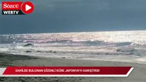 Sahilde bulunan gizemli küre Japonya’yı karıştırdı
