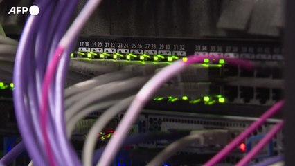 "Italia russofoba", attacco hacker dopo Meloni a Kiev