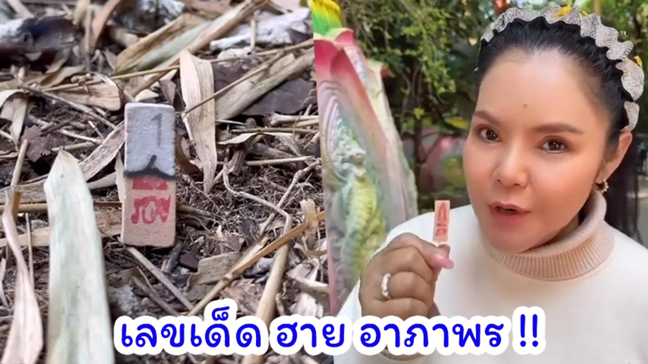 ฮาย อาภาพร จัดให้ตามคำขอ จุดธูปเผยเลขเด็ด คอหวย...