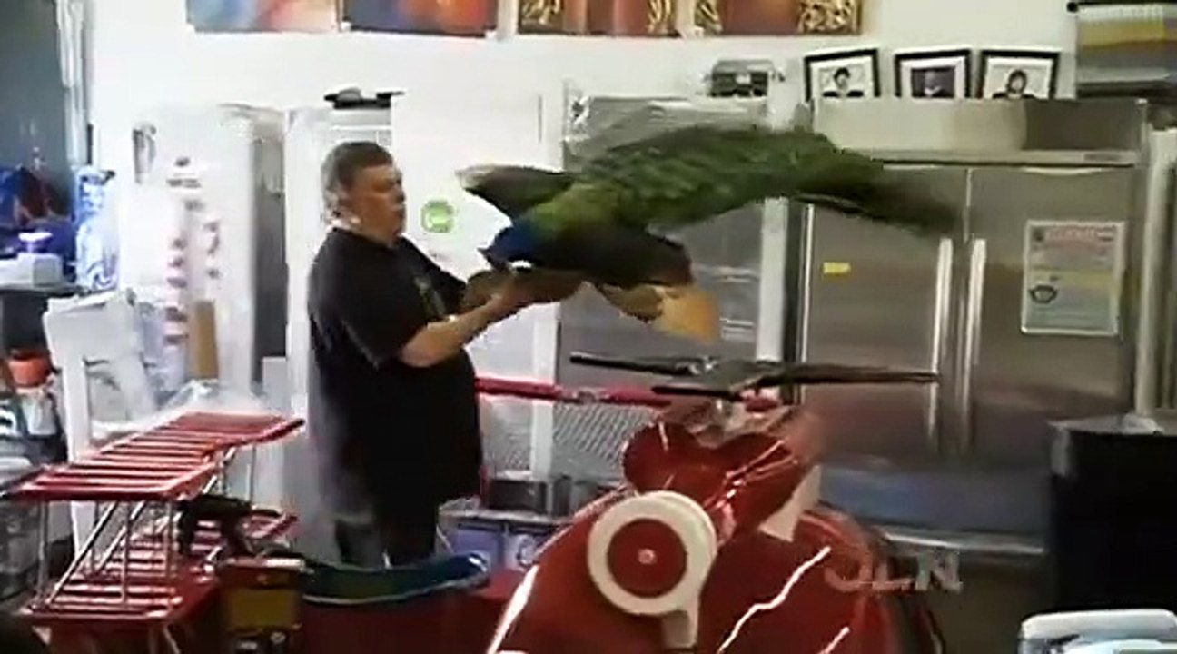 The Liquidator - Se2 - Ep12 HD Watch