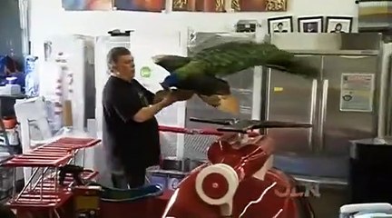 The Liquidator - Se2 - Ep12 HD Watch