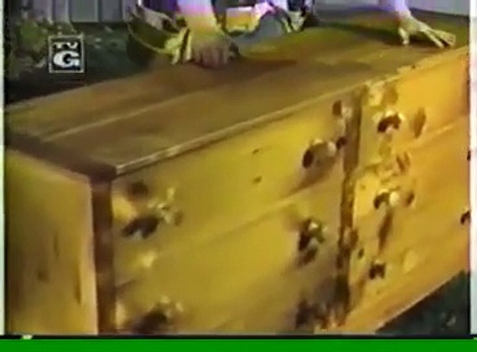 The New Yankee Workshop - Se8 - Ep05 HD Watch