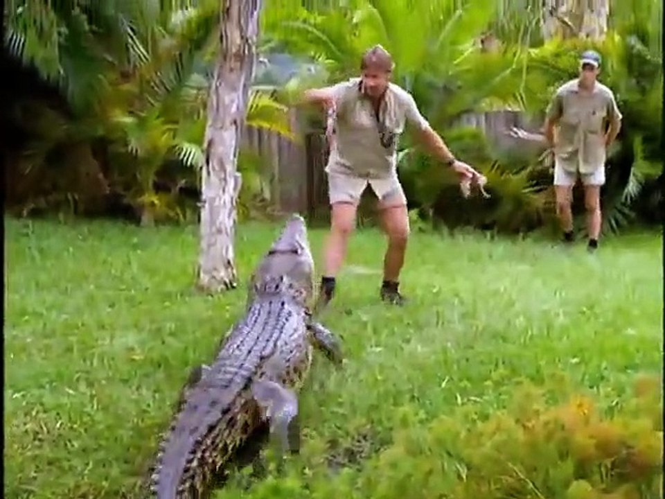 The Crocodile Hunter - Ep02 HD Watch