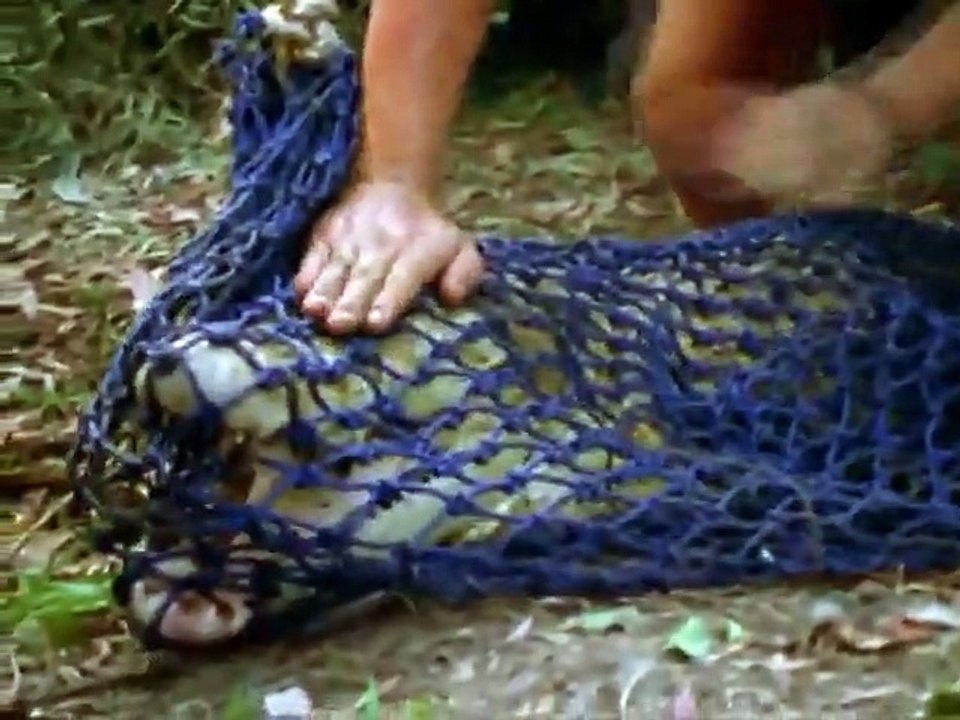 The Crocodile Hunter - Ep01 HD Watch