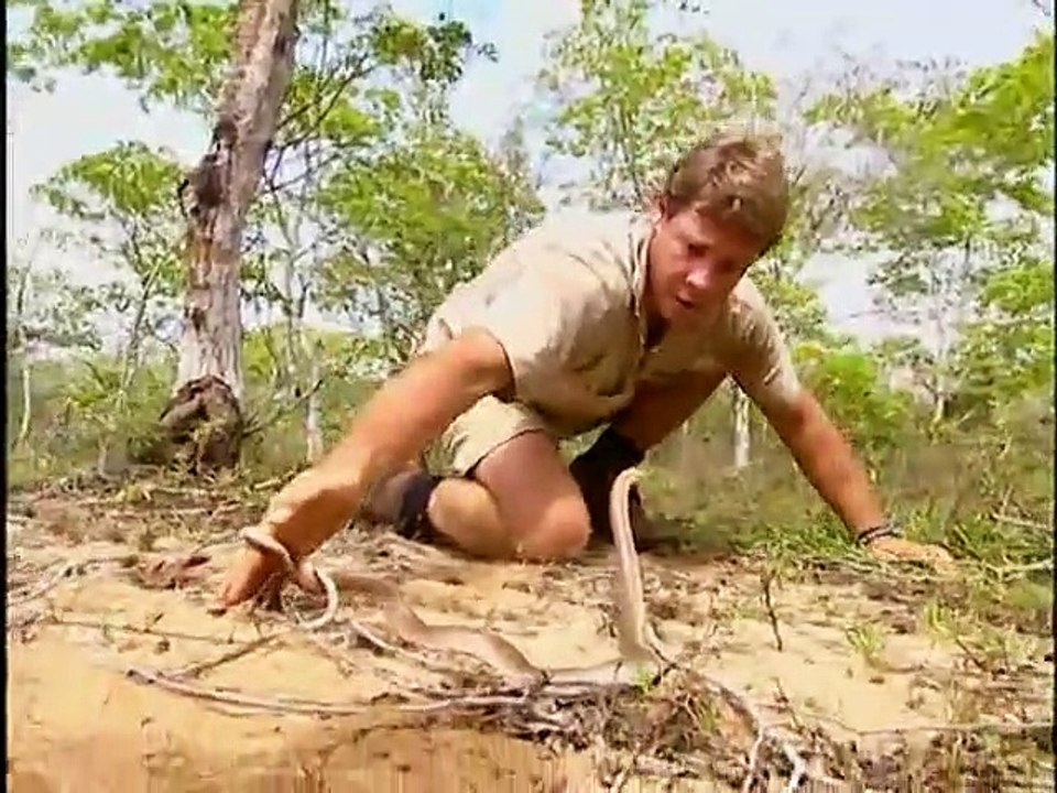The Crocodile Hunter - Ep07 HD Watch