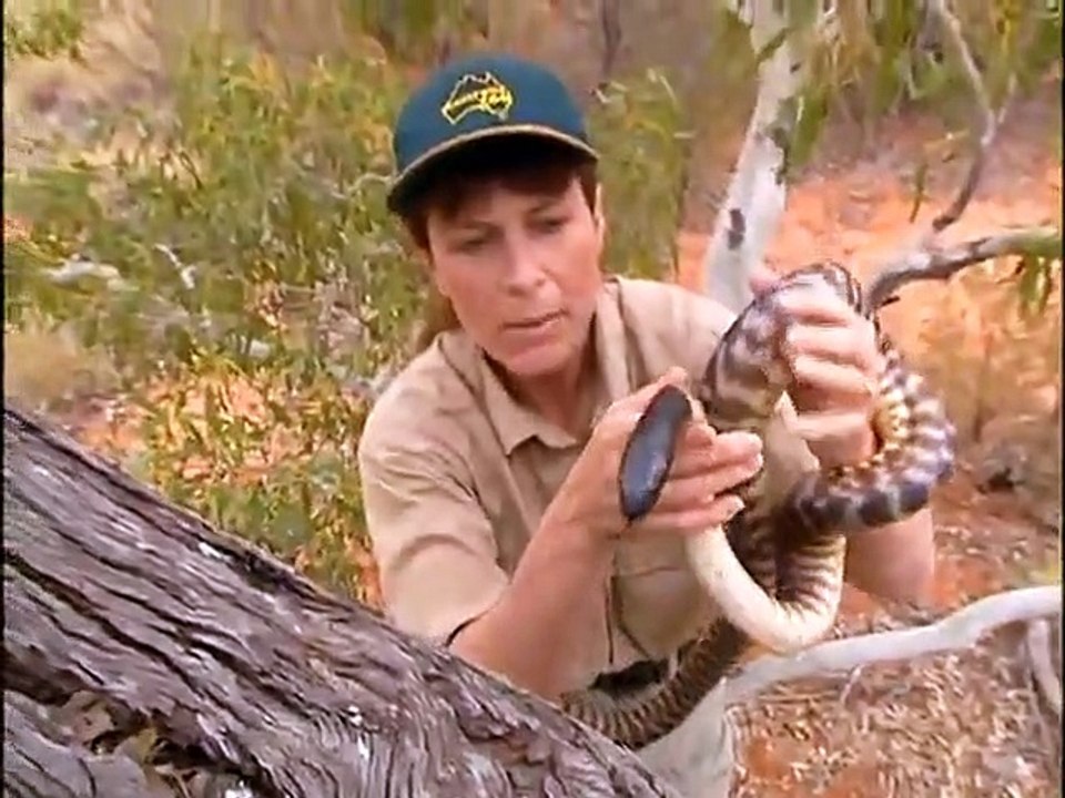 The crocodile hunter - ep06 hd watch