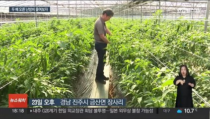 농가 난방비 시름 줄까?…비용 절감 기술 속속 개발