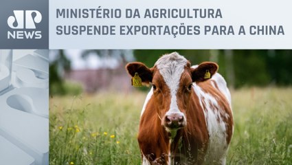 Governo do Pará confirma caso de ‘vaca louca’ e diz que caso é atípico