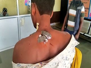 सिंघा गांव में पैंथर ने किया गाय का शिकार