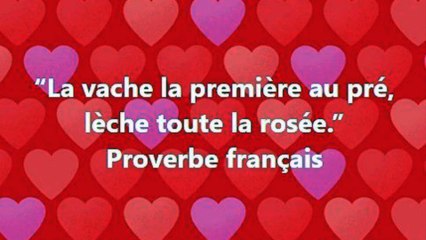 1) “La vache la première au pré, lèche toute la rosée.” Proverbe français