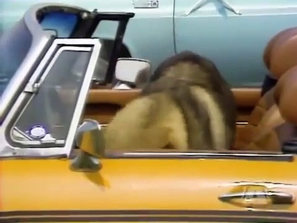 The Littlest Hobo - Se3 - Ep09 HD Watch