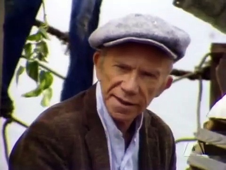 The Littlest Hobo - Se3 - Ep11 HD Watch