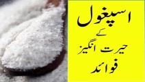 Ispaghol Ke Fawaid Isabgol Ke Fawaid L Psyllium Husk Fiber Benefits In Urdu