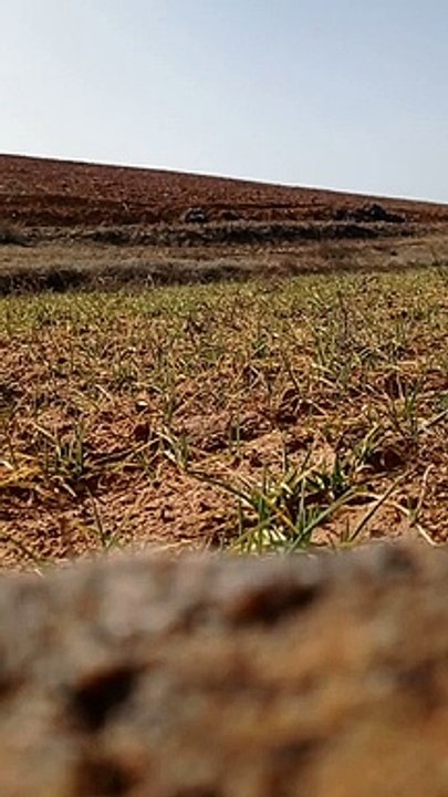 La Guardia Civil detona dos granadas de mortero