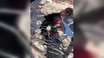 ENKAZ ALTINDA KALAN İNEK 17 GÜN SONRA KURTARILDI