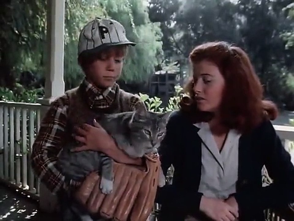 The Waltons - Se8 - Ep15 HD Watch