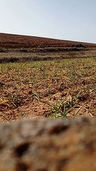 La Guardia Civil detona dos granadas de mortero