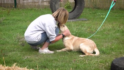 Watch: Ukrainian refugees in UK reunite with dog they had to leave behind