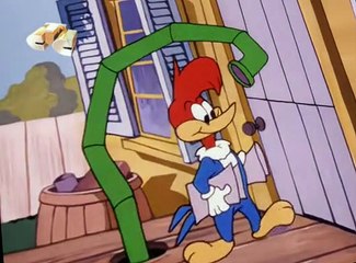 Woody Woodpecker Woody Woodpecker E131 – Science Friction