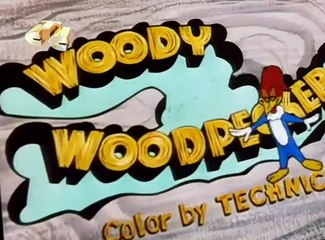 Woody Woodpecker Woody Woodpecker E136 – Skinfolks