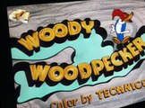 Woody Woodpecker Woody Woodpecker E137 – Get Lost! Little Doggy